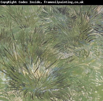 Vincent Van Gogh Clumps of Grass (nn04)